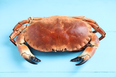Photo of Delicious boiled crab on light blue wooden table, closeup
