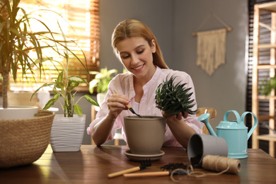 Young woman potting succulent plant at home. Engaging hobby