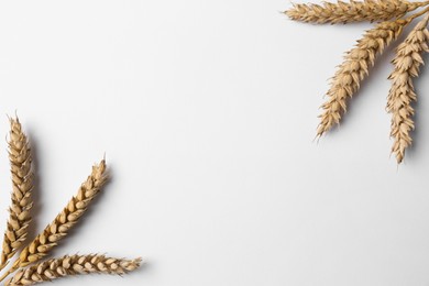 Ears of wheat on white background, flat lay. Space for text