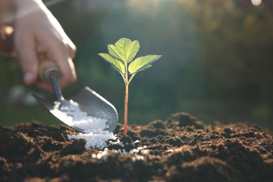 Photo of Woman fertilizing soil with growing young sprout on sunny day, selective focus