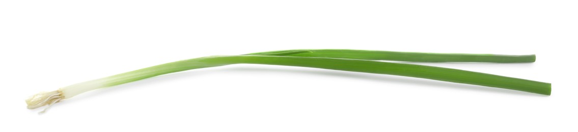 Fresh green spring onion isolated on white