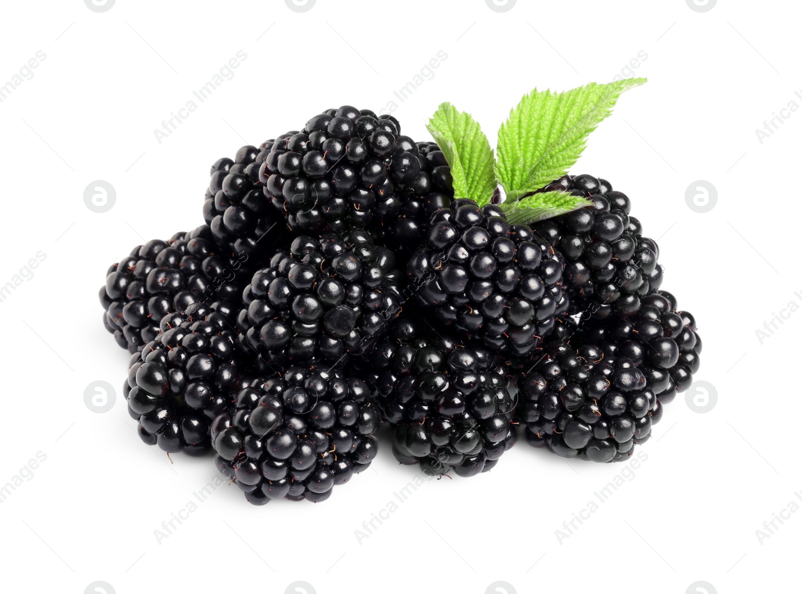 Photo of Pile of ripe blackberries with green leaves isolated on white