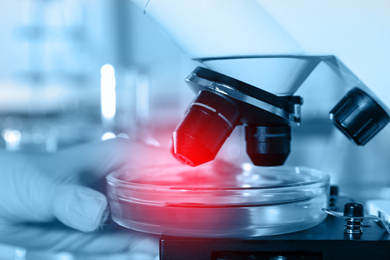 Image of Scientist putting Petri dish with liquid under microscope, closeup. Laboratory analysis