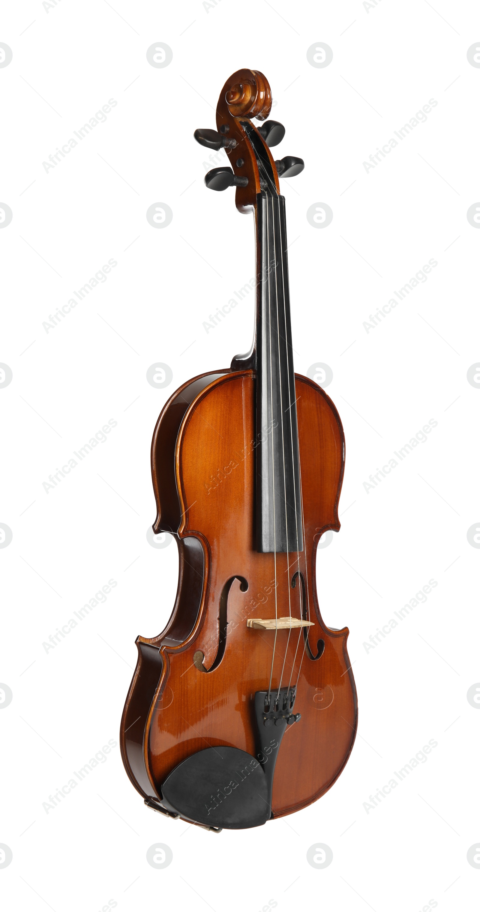 Photo of Classic violin isolated on white. Musical instrument