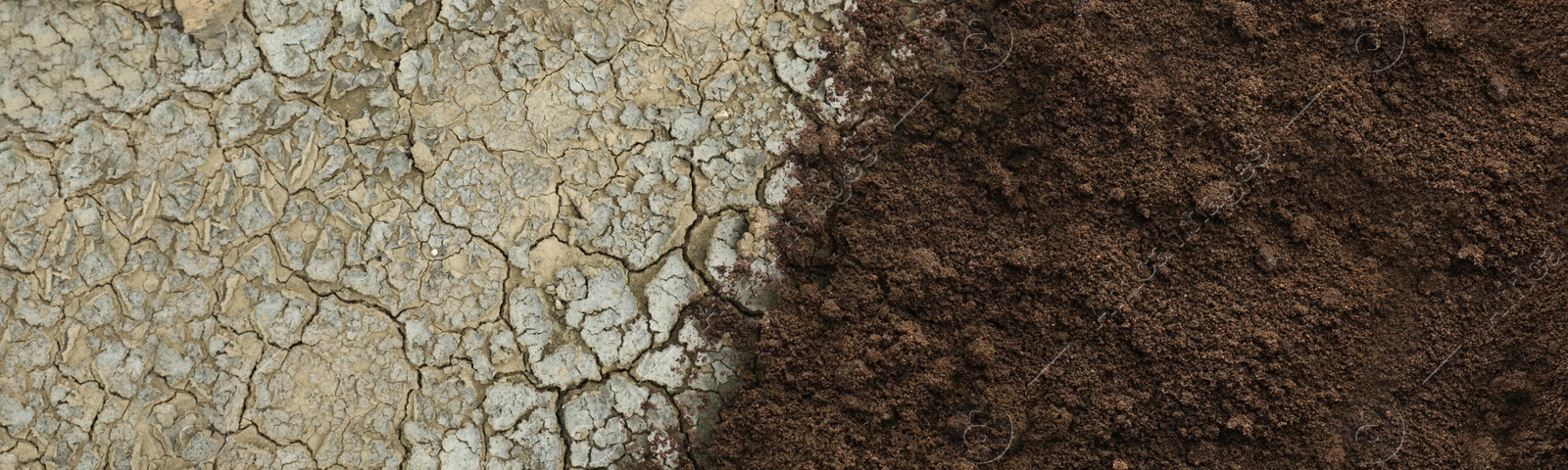 Image of Dry cracked ground and fertile soil, banner design