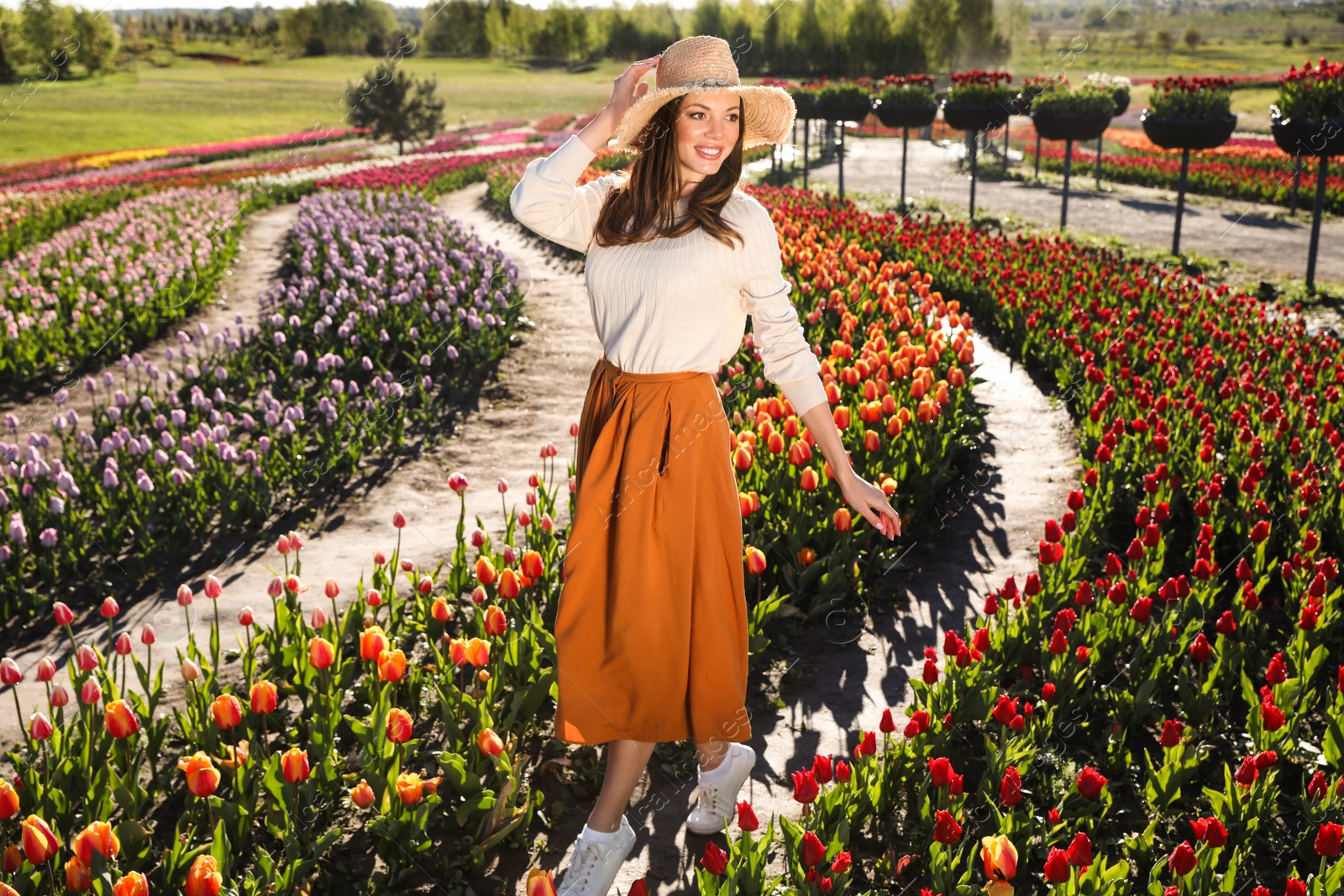 Photo of Woman in beautiful tulip field on sunny day