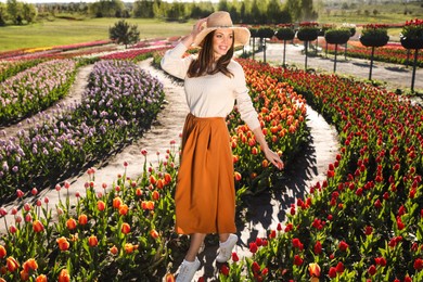 Woman in beautiful tulip field on sunny day