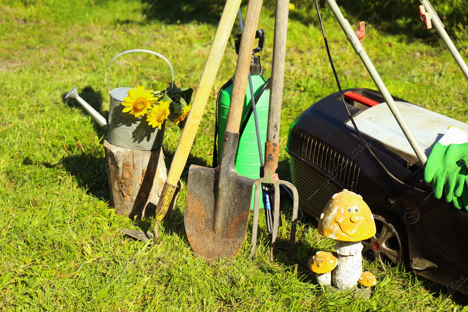 Photo of Set of gardening tools on grass outdoors