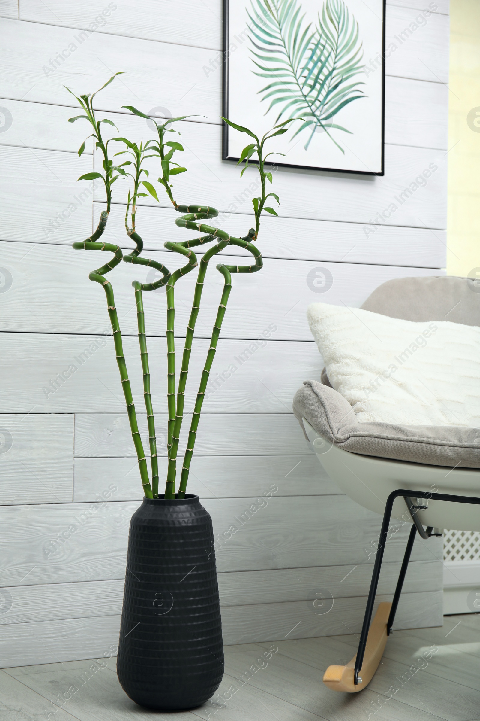 Photo of Vase with green bamboo stems and stylish rocking chair in room. Interior design