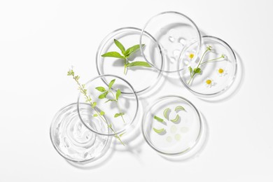 Petri dishes with different plants and cosmetic products on white background, top view