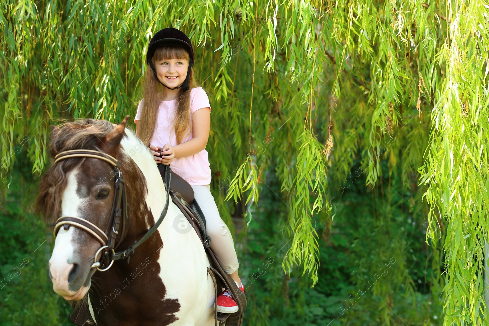 Photo of Cute little girl riding pony in green park