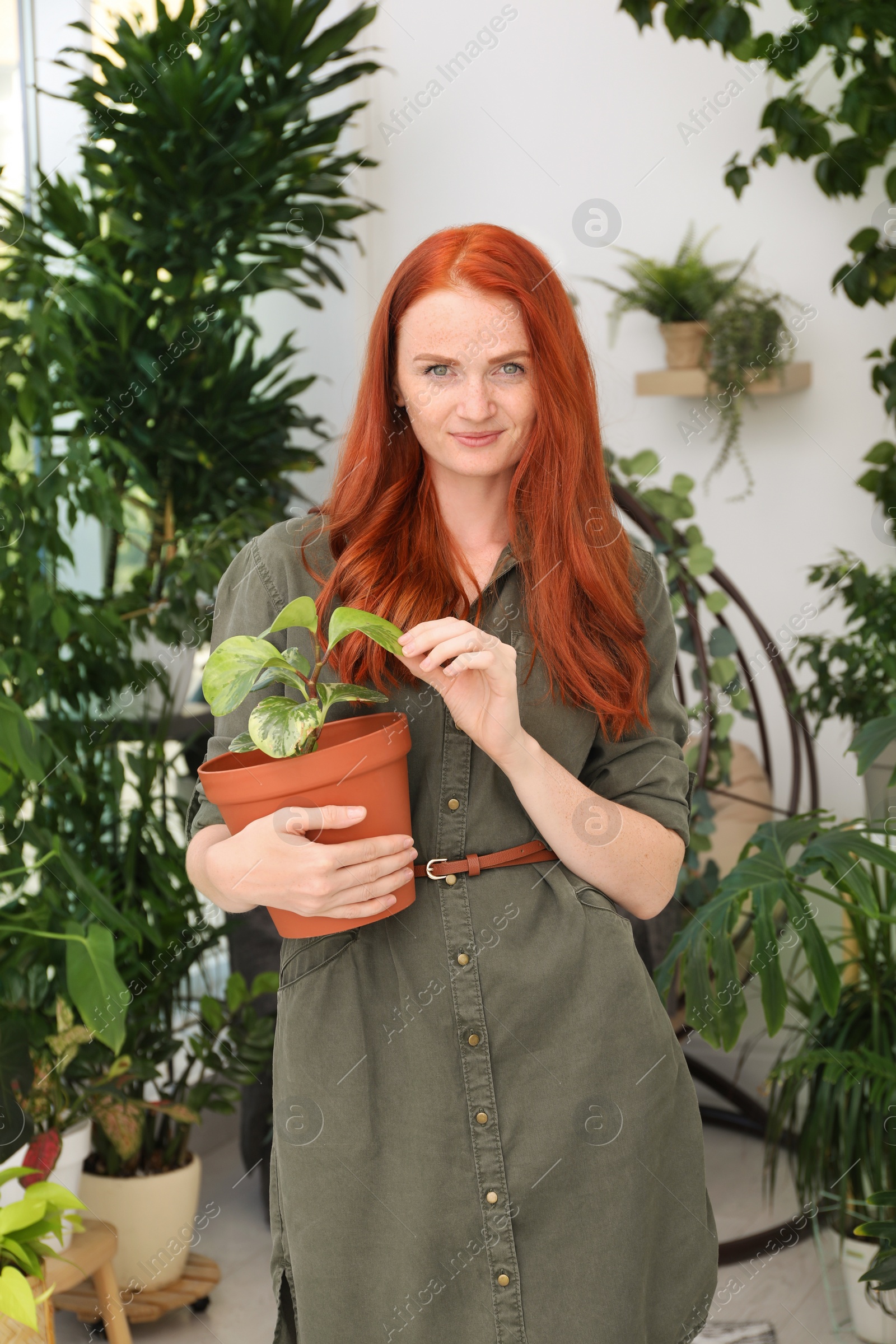 Photo of Beautiful woman with green houseplant at home