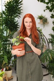 Photo of Beautiful woman with green houseplant at home