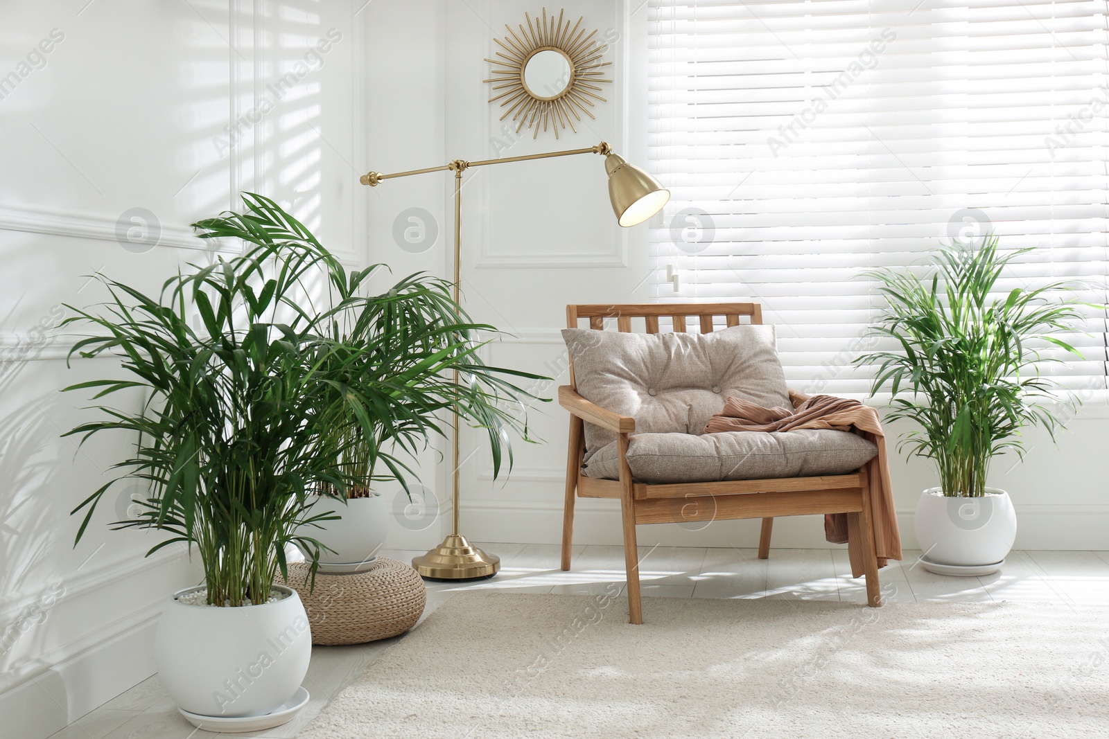 Photo of Stylish room interior with exotic house plants