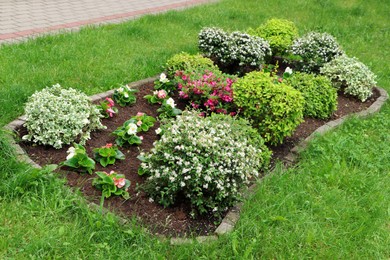 Photo of Beautiful flowerbed with different plants outdoors. Gardening and landscaping