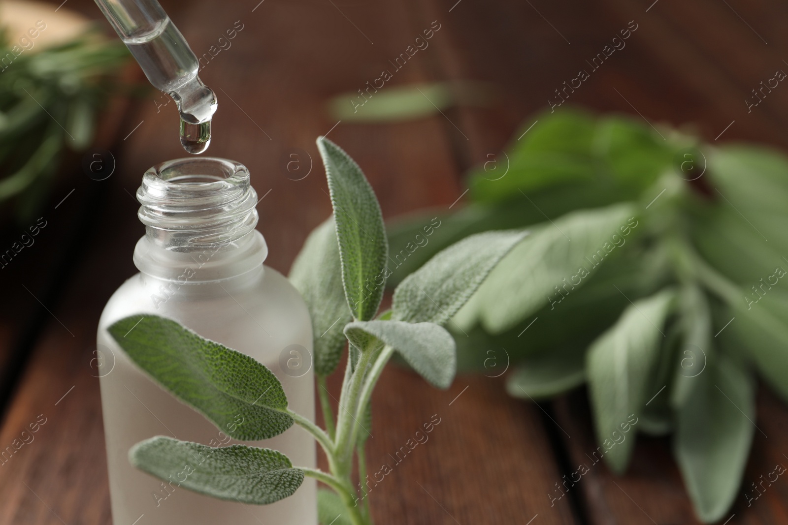 Photo of Dripping herbal essential oil from pipette into bottle on wooden table, closeup. Space for text