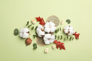 Flat lay composition with cotton flowers on green background