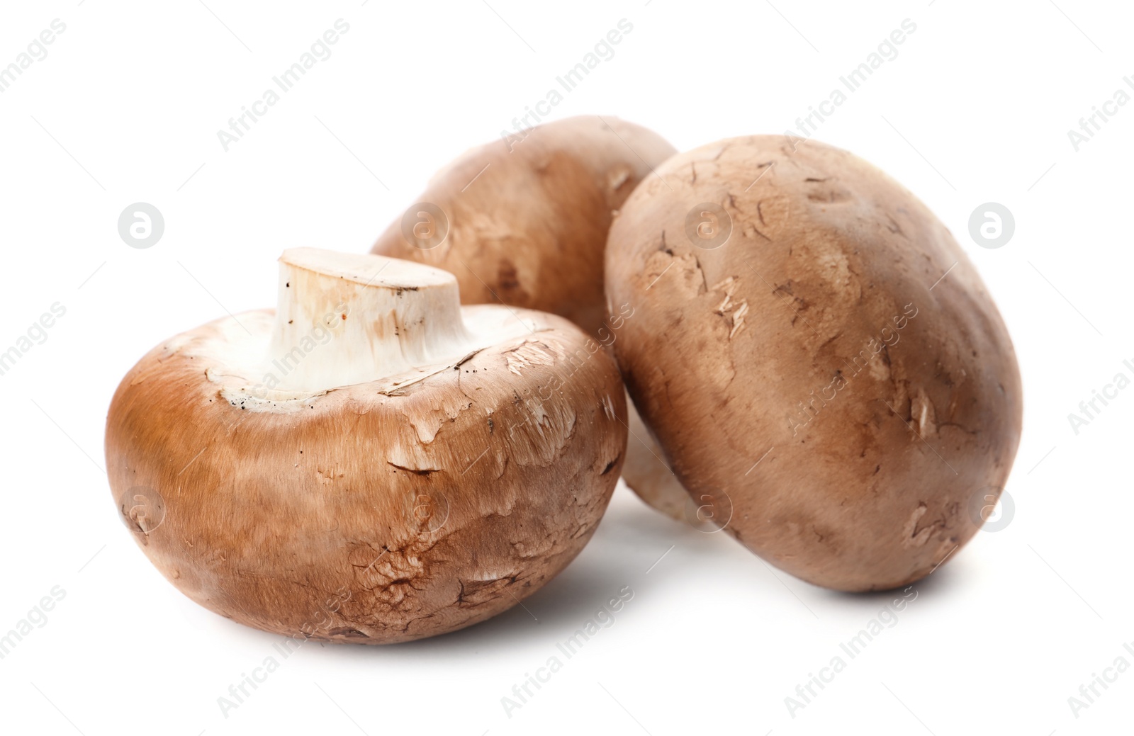Photo of Fresh champignon mushrooms isolated on white. Healthy food