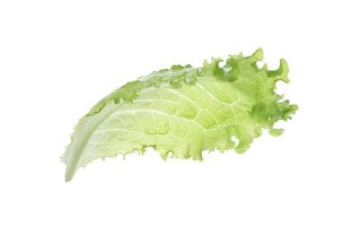 Leaf of fresh green lettuce isolated on white