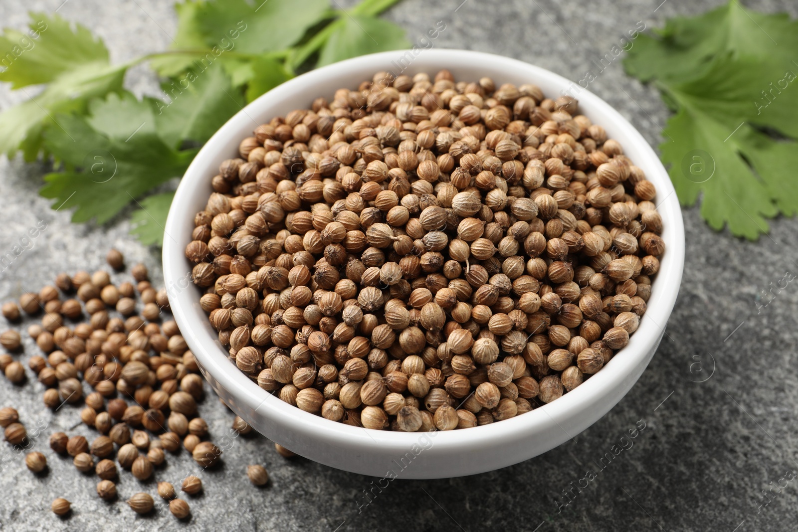 Photo of Dried coriander seeds in bowl and green leaves on gray textured table, closeup