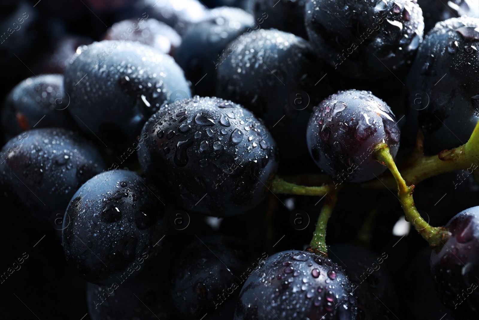 Photo of Bunch of fresh ripe juicy grapes as background. Closeup view