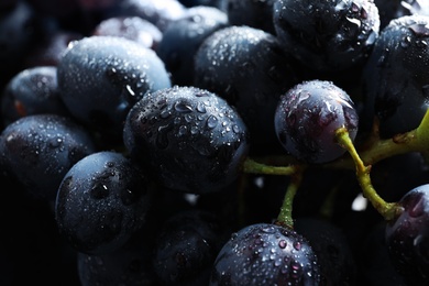 Bunch of fresh ripe juicy grapes as background. Closeup view