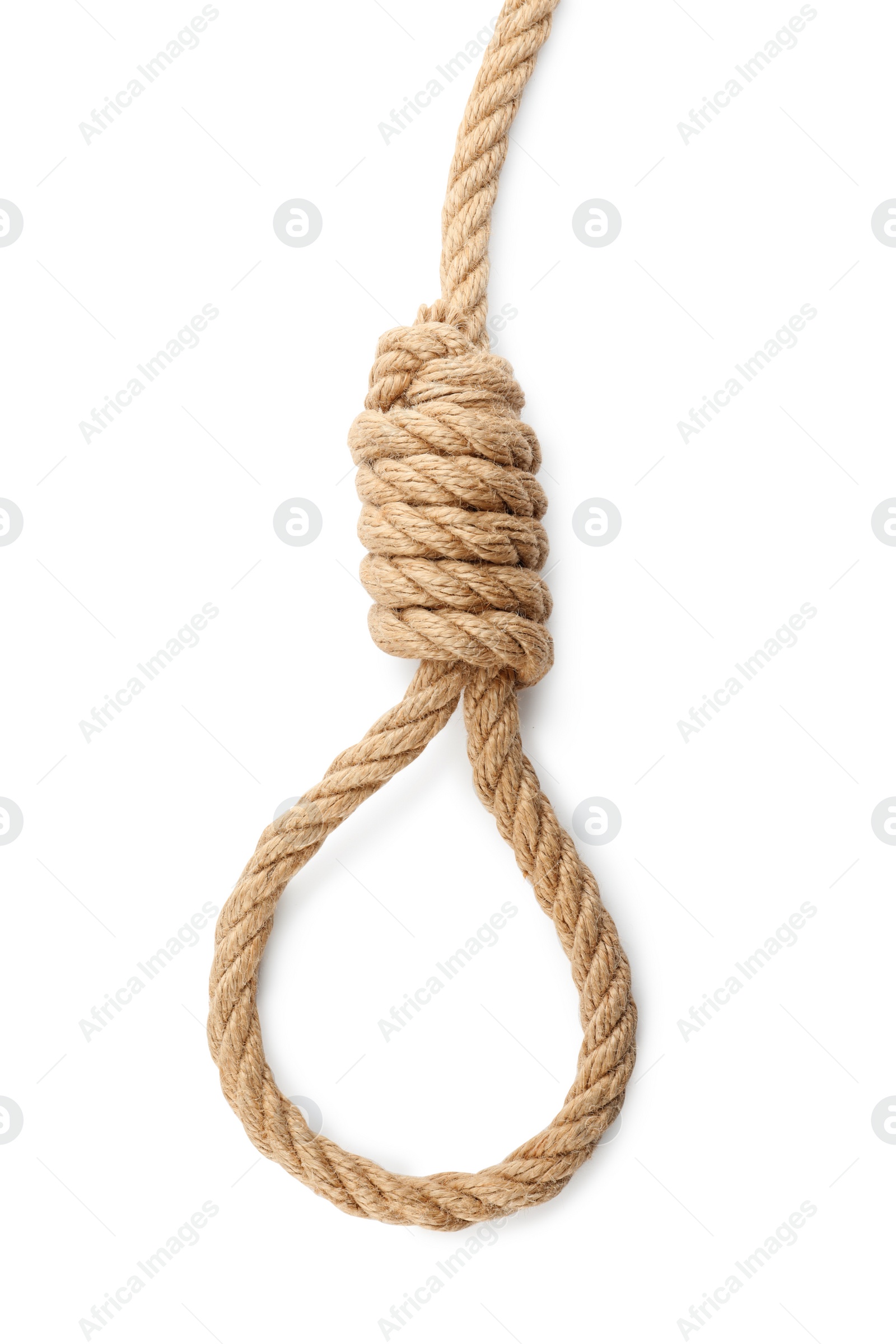 Photo of Rope noose with knot on white background, top view