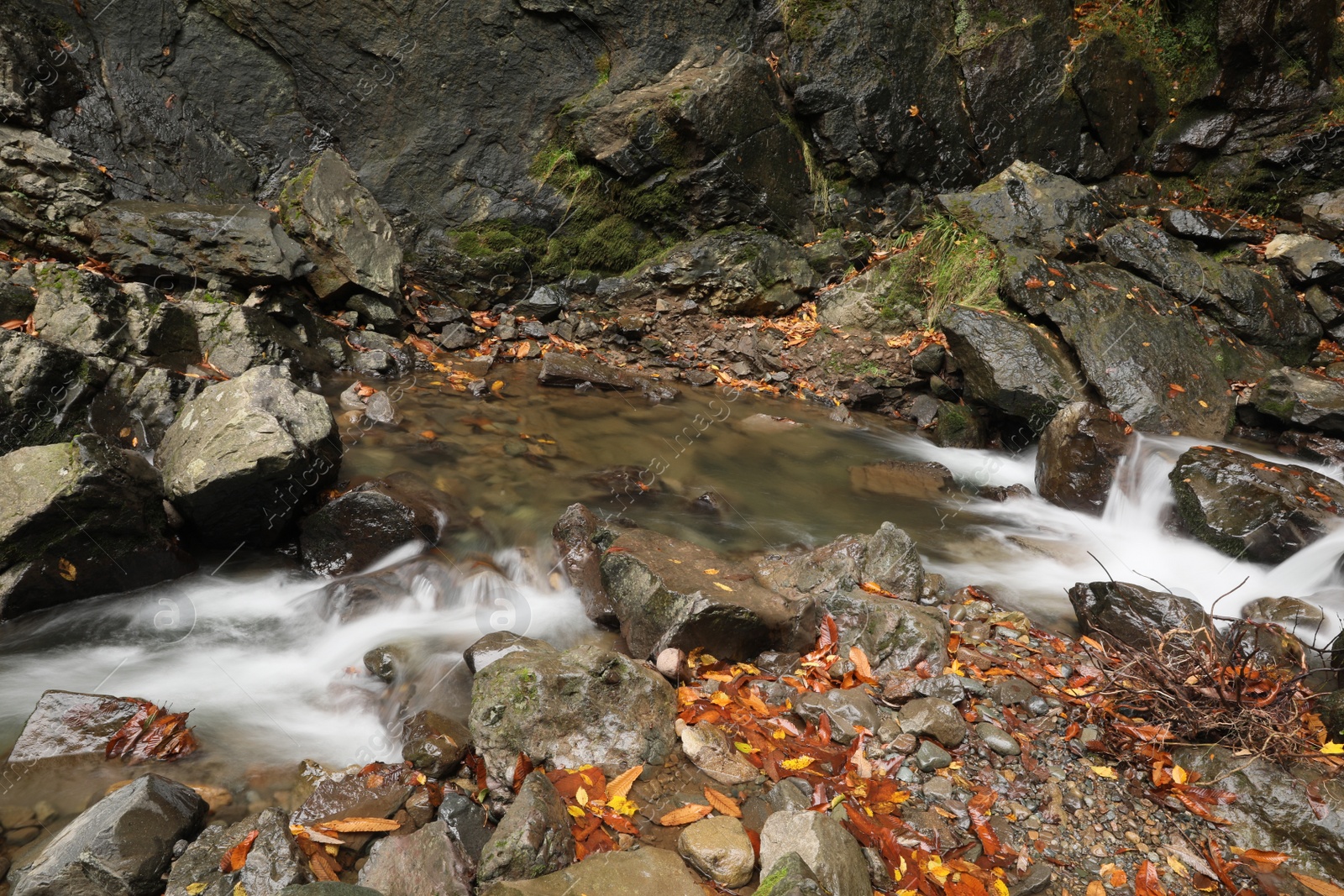 Photo of Beautiful view of mountain stream and rocks outdoors