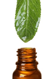 Photo of Mint leaf over bottle of essential oil against white background