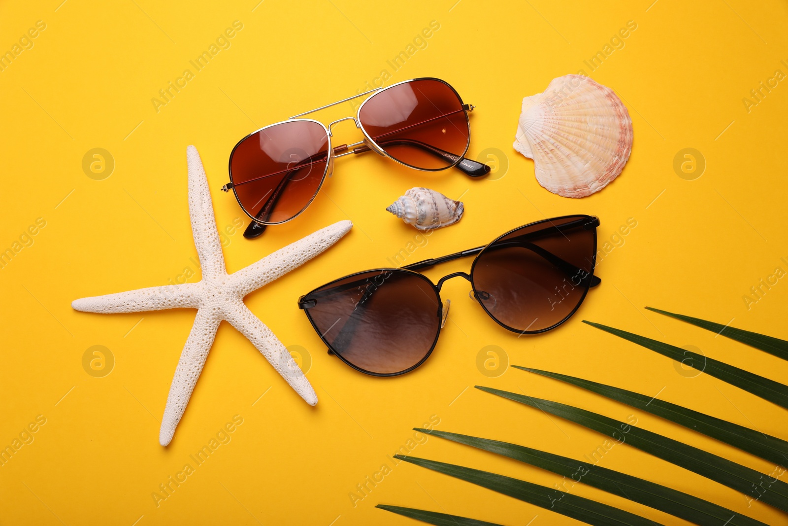 Photo of Stylish sunglasses, starfish and seashells on yellow background, flat lay