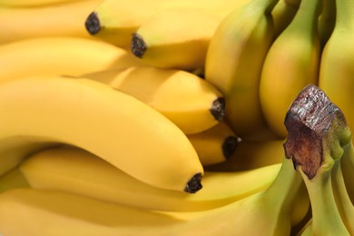 Closeup view of ripe yellow bananas as background