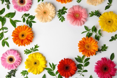 Flat lay composition with beautiful bright gerbera flowers on white background. Space for text