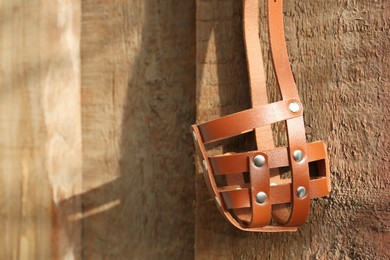 Photo of Brown dog muzzle hanging near wooden fence, closeup. Space for text