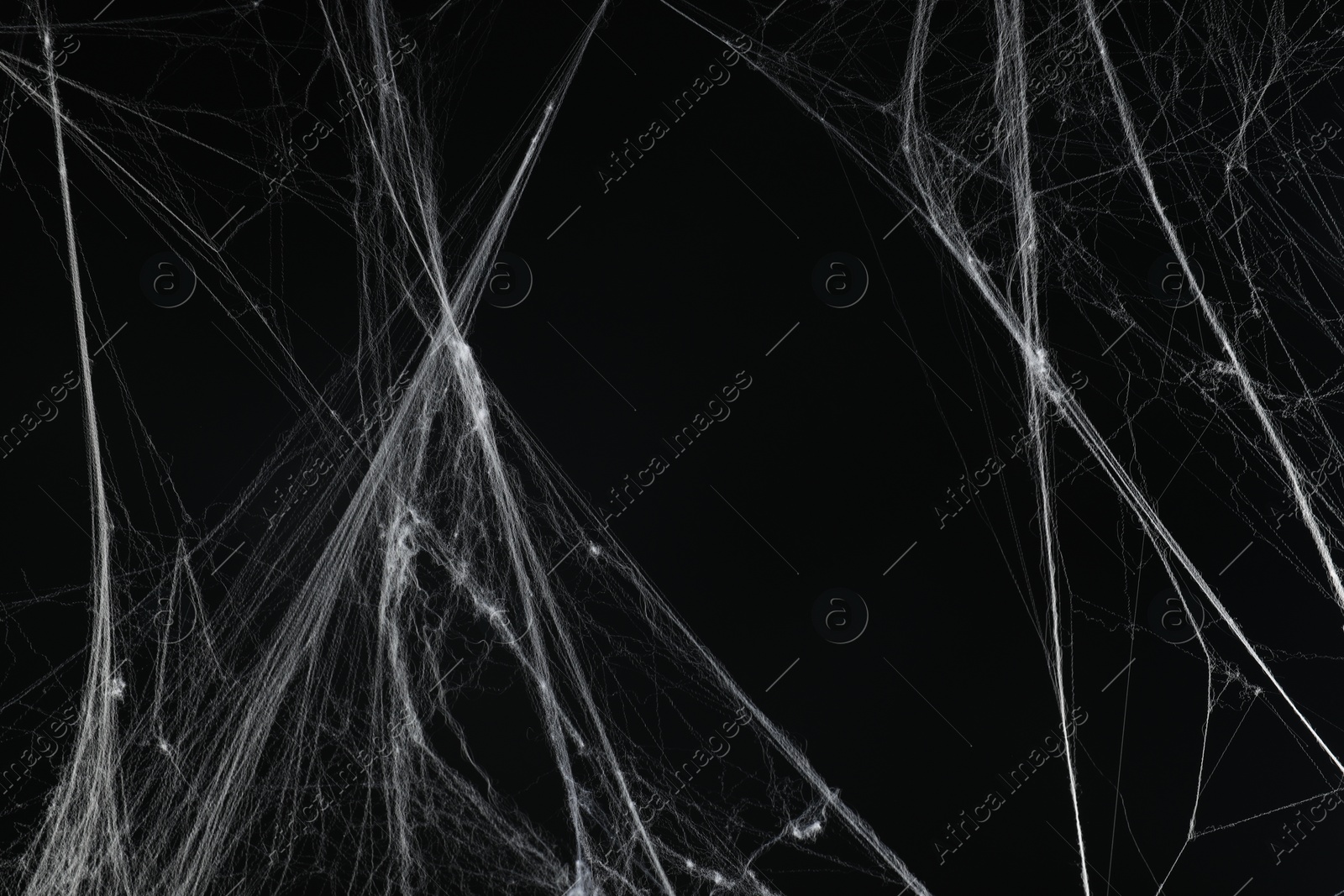 Photo of Creepy white spider web on black background