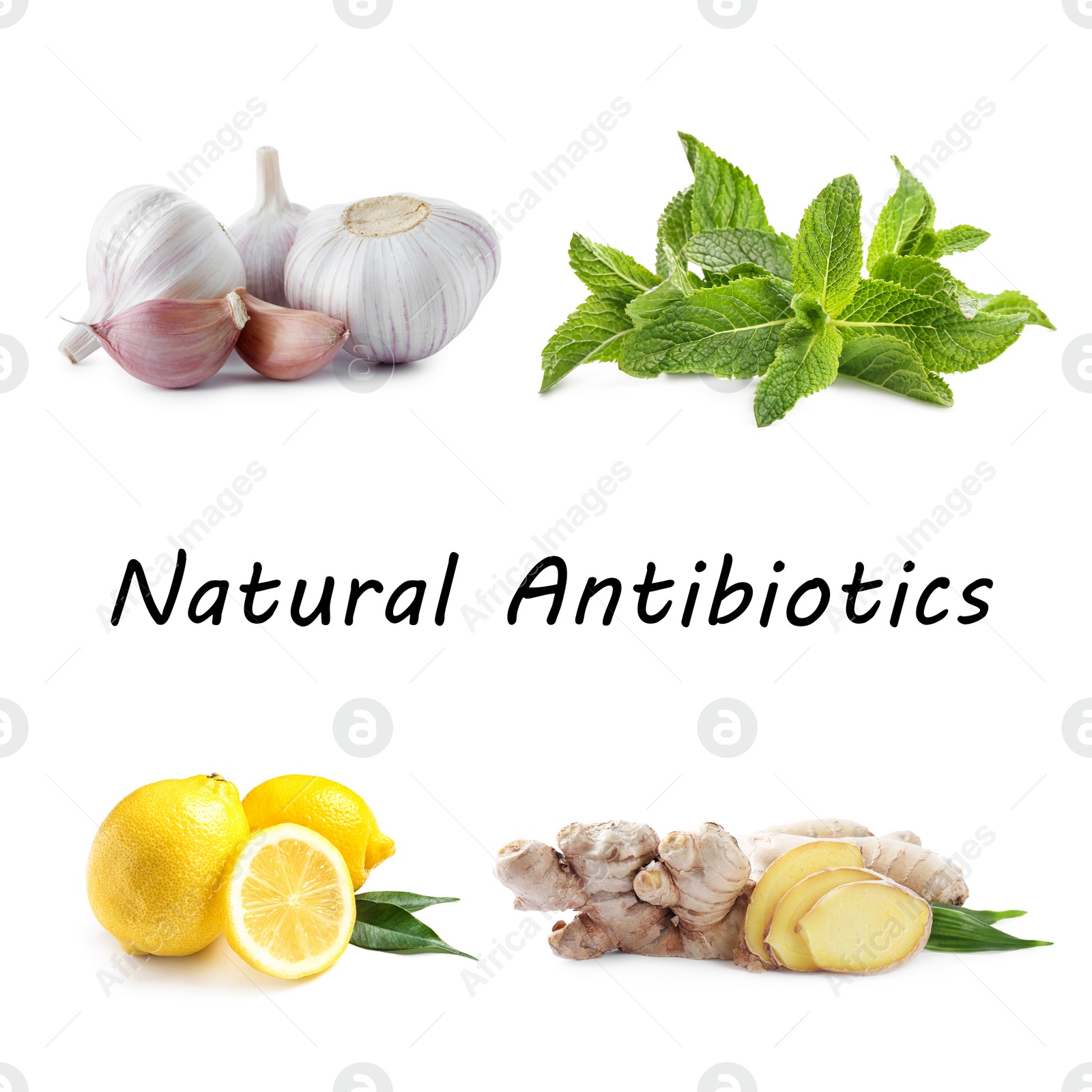 Image of Set of fresh products and text Natural Antibiotics isolated on white
