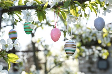 Beautifully painted Easter eggs hanging on blooming tree outdoors