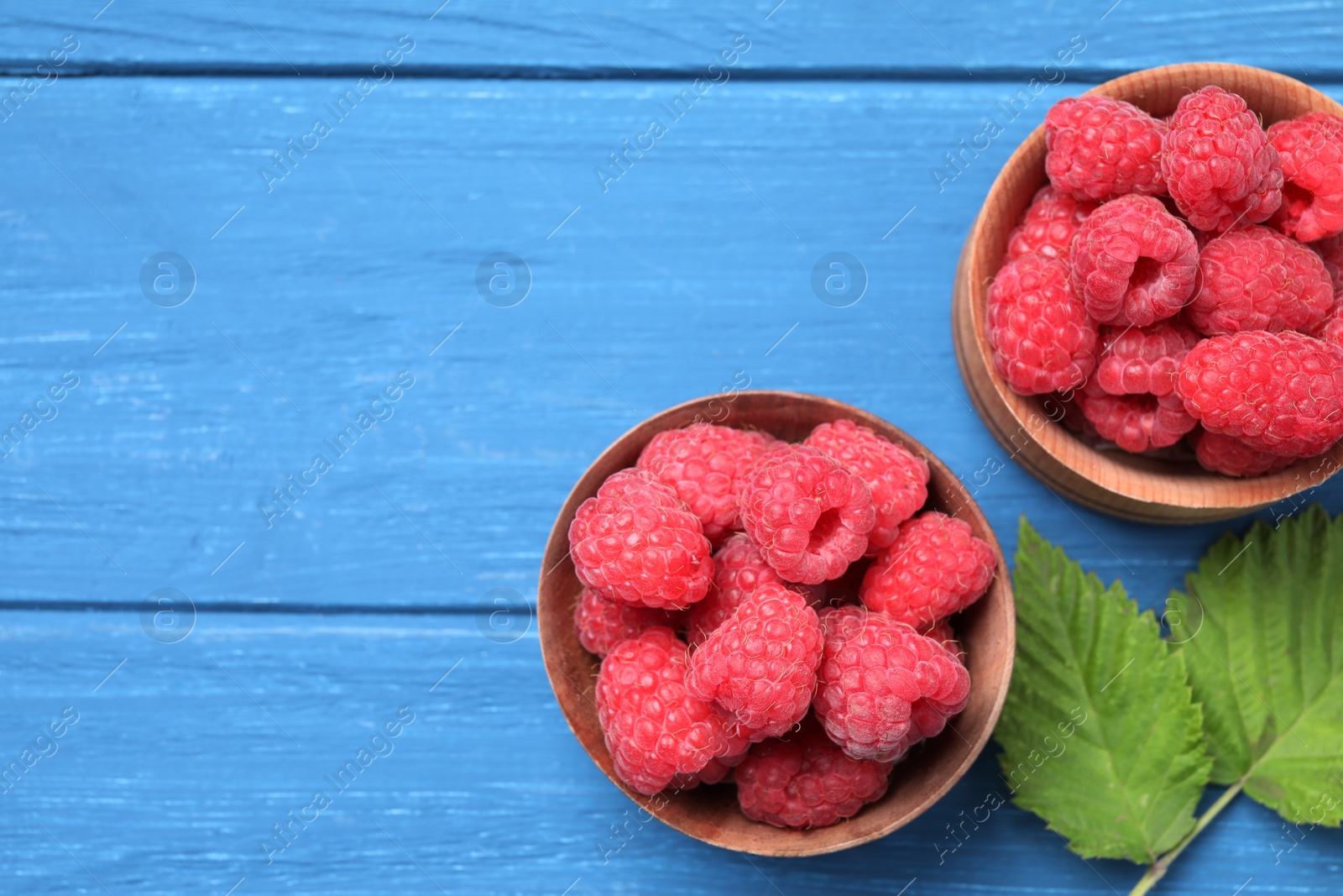 Photo of Delicious fresh ripe raspberries on blue wooden table, flat lay. Space for text