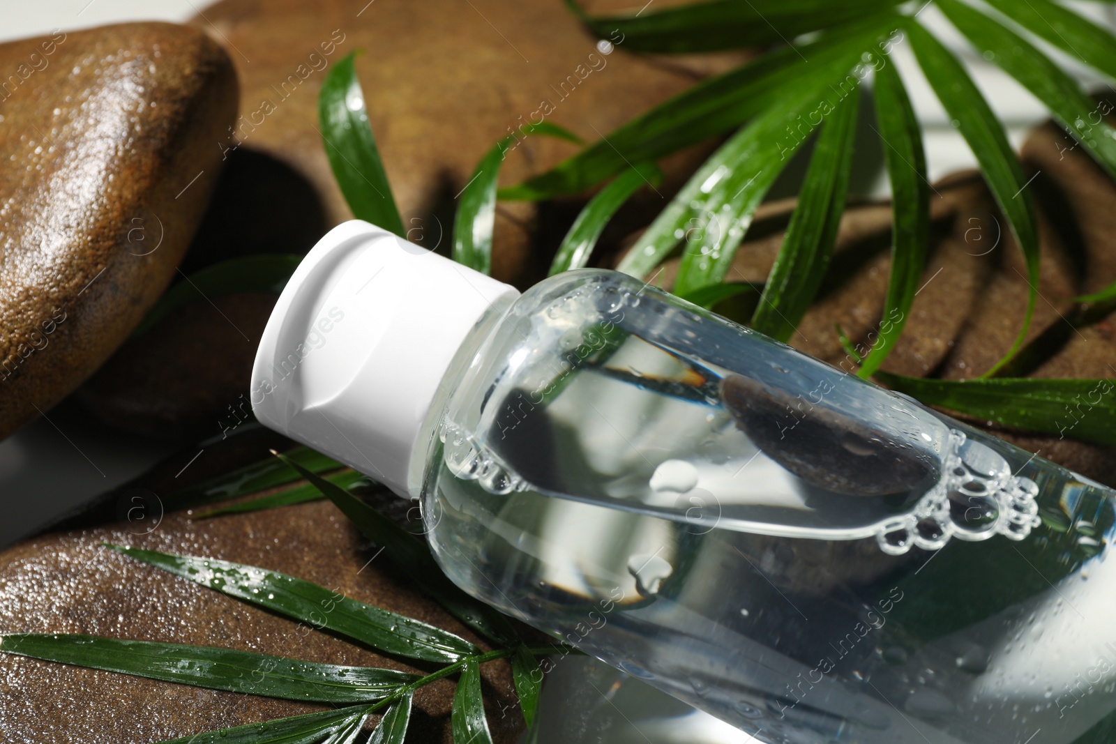 Photo of Bottle of micellar cleansing water, green twigs and spa stones on white table, closeup