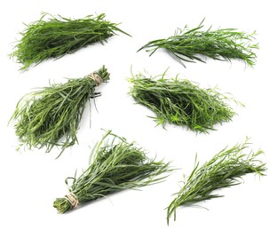 Image of Set with bunches of green tarragon isolated on white
