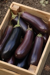 Photo of Ripe eggplants in wooden crate on ground outdoors, above view