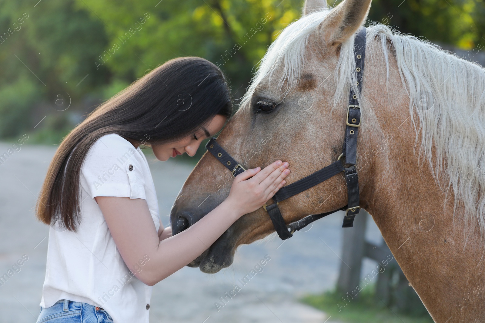 Photo of Beautiful woman with adorable horse outdoors. Lovely domesticated pet