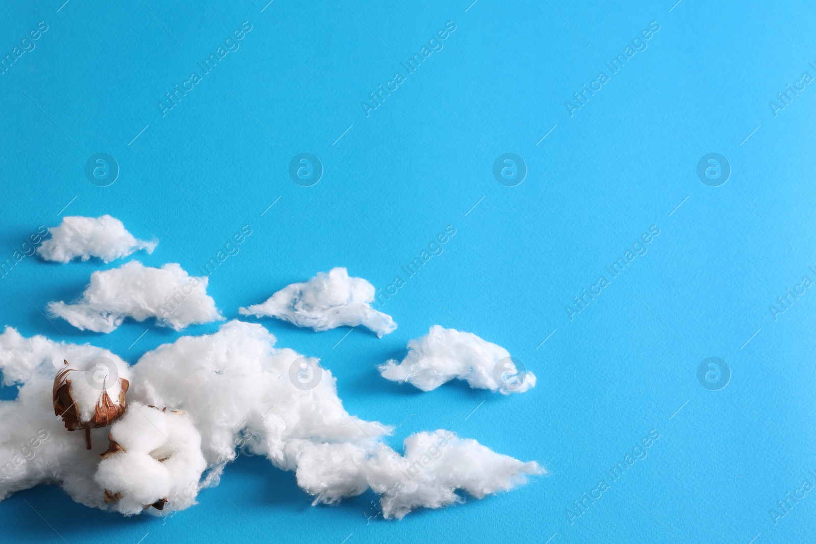 Photo of Clouds made of cotton and soft flowers on blue background. Space for text