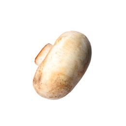 Photo of Piece of fresh mushroom on white background