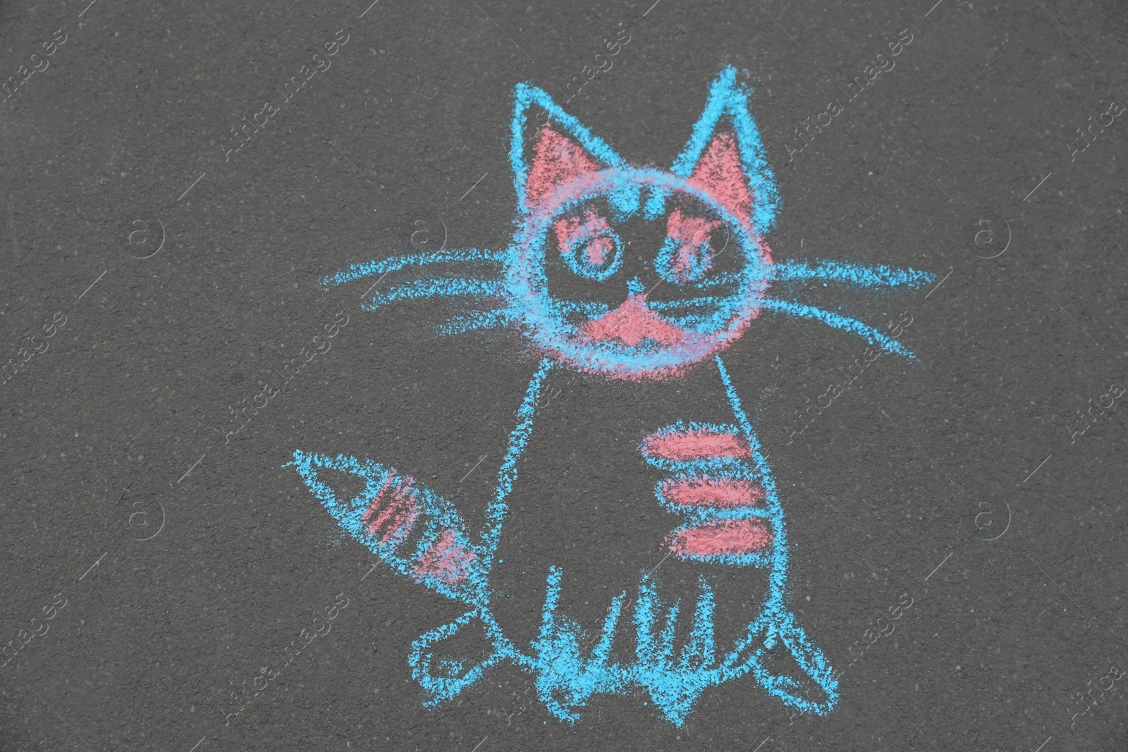 Photo of Child's chalk drawing of cat on asphalt, top view