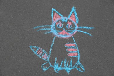 Child's chalk drawing of cat on asphalt, top view