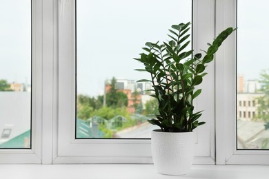 Photo of Zamioculcas in pot on windowsill indoors, space for text. House plant