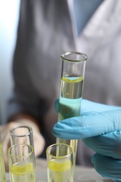 Photo of Doctor taking test tube with urine sample for analysis, closeup
