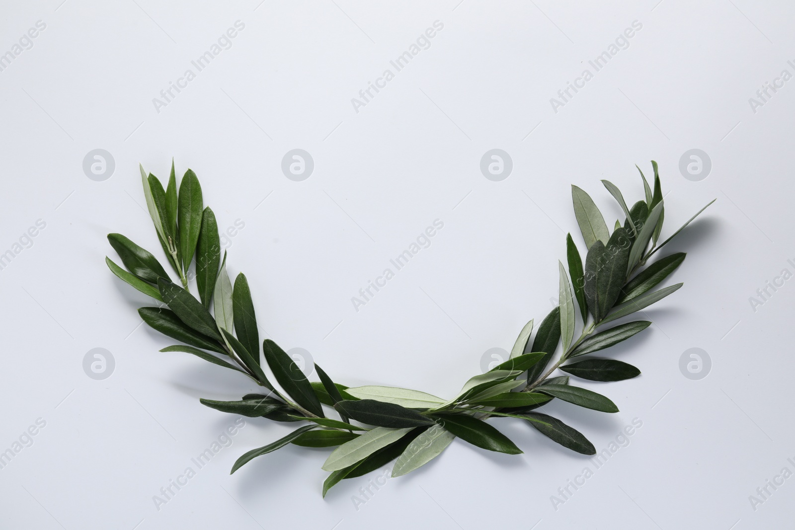 Photo of Olive twigs with fresh green leaves on white background, flat lay. Space for text