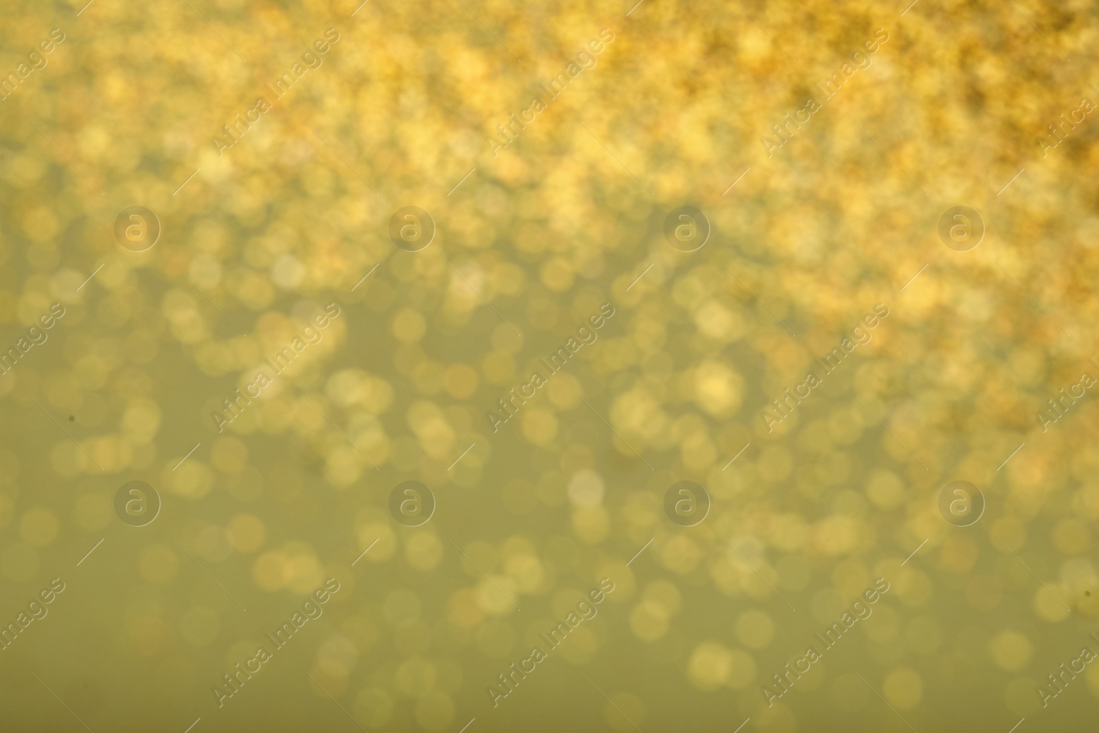 Photo of Blurred view of golden lights on pale green background. Bokeh effect