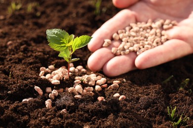 Photo of Man fertilizing soil with growing sprout, closeup